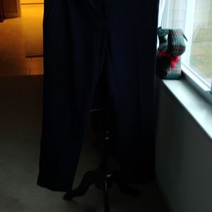 The limited office Pant